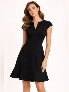 Banana Republic Black Fit and Flare Mini Dress